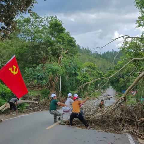 水满乡机关支部召开集体学习研讨会并开展灾后人居环境卫生整治主题党日活动