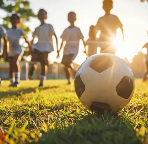 ⚽️竞技绿茵⚽️ 电尕镇中心小学——藏文小学球类友谊赛