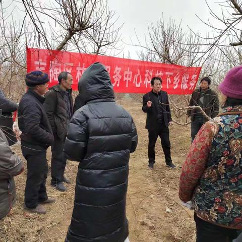 果树修剪正当时 不误农时不负春