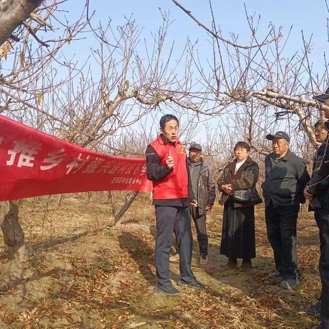 冬季果园培训忙 赋能果业促增收