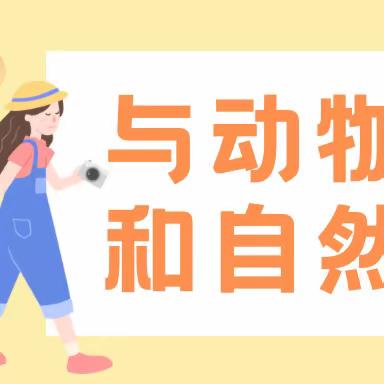 与动物相约，和自然相抱——韬奋小学二年级一班春游小记