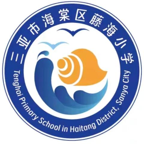 藤海学子破浪前行 2024海南省冲浪锦标赛