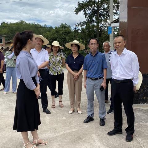 市人大常委会调研组到方田乡开展养老服务中心调研指导