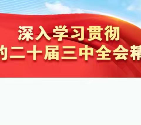 马莲渠中心学校传达学习党的二十届三中全会精神