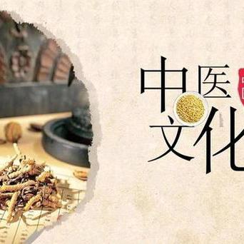 探寻中医奥秘  弘扬千年文化——马莲渠中心学校走进宁夏中医药科普教育基地研学实践活动