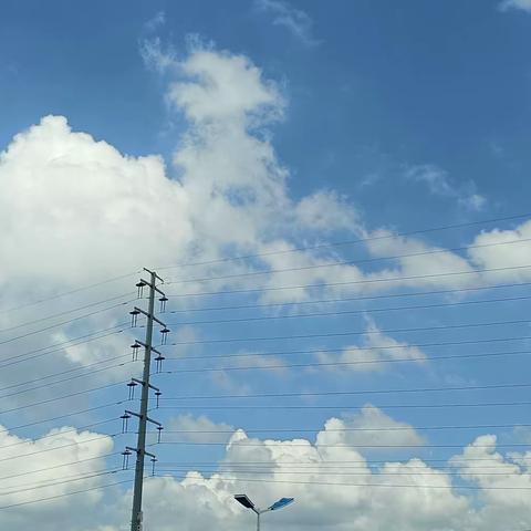 🌸Freedom Brown 2023 8.10