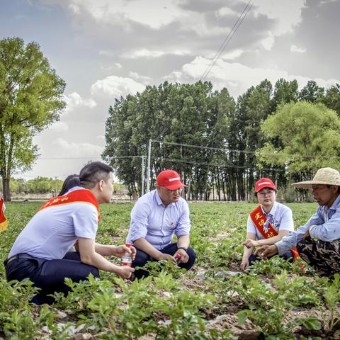 榆林农信：以学促干   用主题教育实效推动业务高质量发展