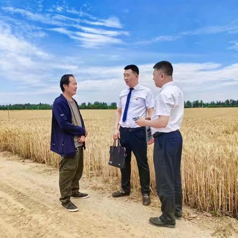 渭南农信：由“里”及“外”    把主题教育引向深入