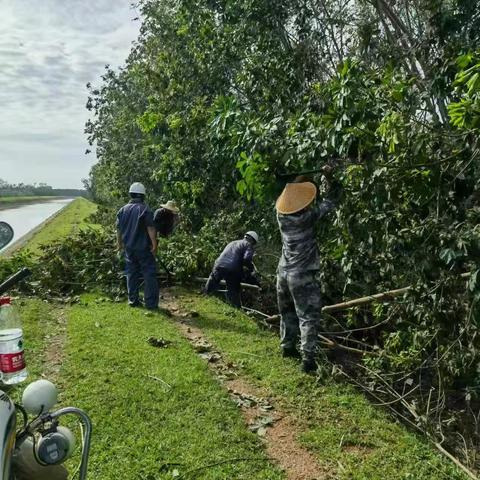 “戮”力同心  全力以“复”