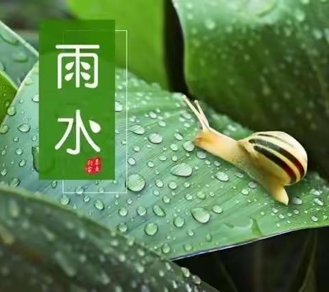 《雨水至 万物生》——雨水节气