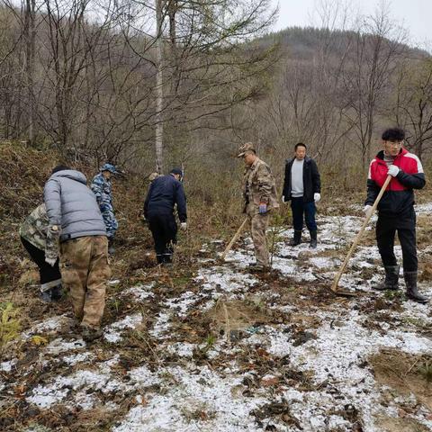 “补植复绿” 共同守护绿水青山