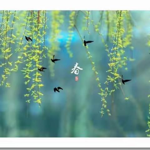 春风不负期待  共研迎来成长