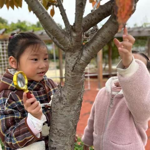 “幼”见小雪，温暖迎冬———实验幼儿园大班组小雪节气活动