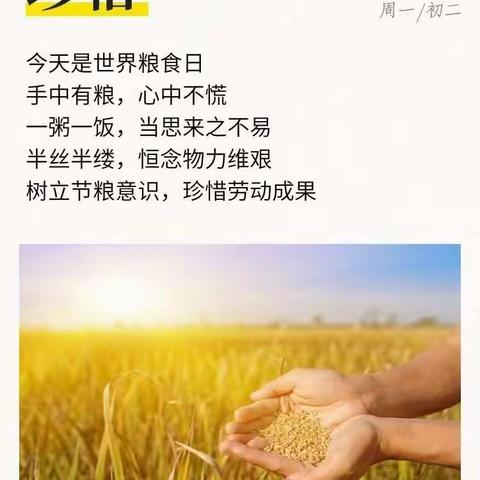 世界粮食日—合肥蜀山学府花园幼儿园    爱粮节粮   从我做起！