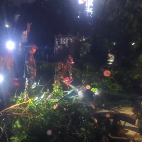 陵水县民兵听令投入抢险救灾工作