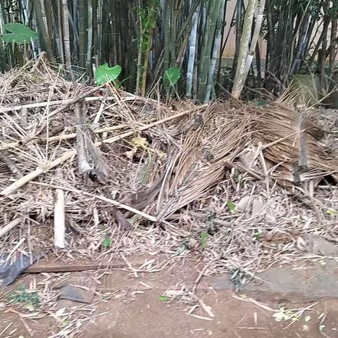 山尾村开展农村人居环境整治行动之巜二》简报