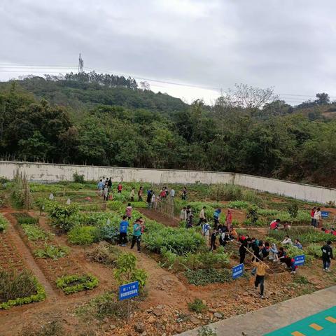 树廉洁 除杂草 沃未来——石窝镇东华小学开展清廉植树节活动