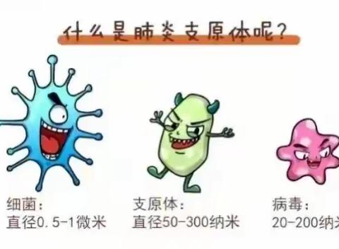 锡林浩特市第三小学邀您了解支原体肺炎