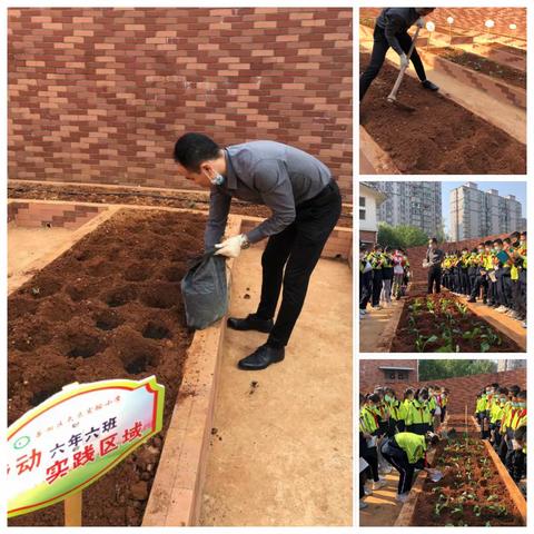 播种希望，收获梦想——蒸湘区大立实验小学六年六班劳动基地实践记（一）