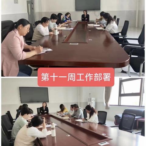 爱的港湾：家庭教育的力量与温暖——实验小学南湖校区家庭教育宣传周工作