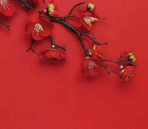 建德市寿昌幼儿园膳管会 家长代表食材验收邀请函