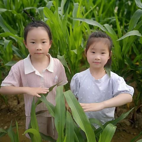 🌽“玉”见你，守一场春种秋收的约——新乡市育幼凤泉园区