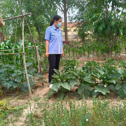 罂粟踏查全覆盖 让“罪恶之花”无处开