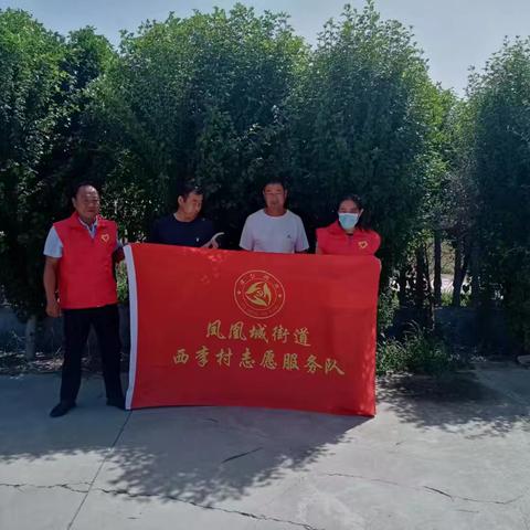 志愿者修剪公墓树枝