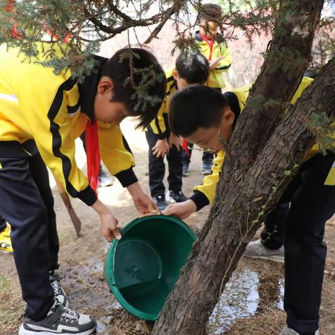 延吉市新兴小学校：“认养一棵树，我与绿树共成长”校园树木认养系列活动