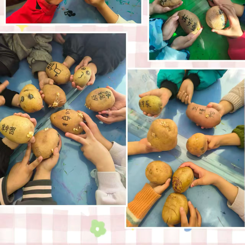 呀！土豆 ‍——友谊幼儿园大四班  ‍农耕班本课程