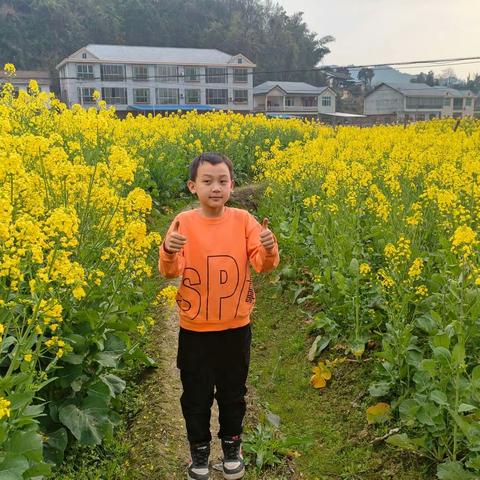 阅读之星 ——我是中兴学校小学部三年级九班的杨竣贤。