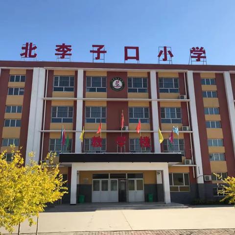 筑梦童心 童心飞扬——兴村学区北李小学迎六一活动