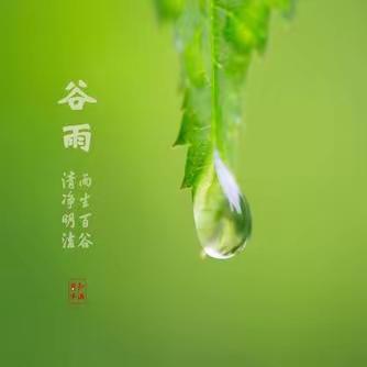 “谷雨节气”主题教育活动