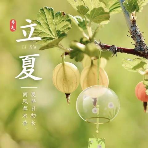 “春意阑珊处🌞立夏款款来”——夏津县第二实验幼儿园中班级部立夏节气主题活动