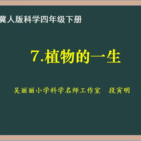 第7期【备课资源】——冀人版小学科学四年级下册第7课《植物的一生》教学设计