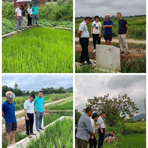 开展耕地质量调查监测保障粮食安全