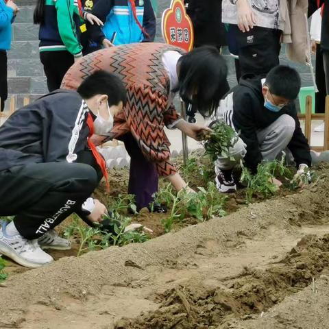 绽放劳动之花 遇见美好成长          ---午方北庄小学六年级劳动实践活动