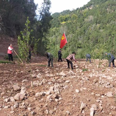 “植树添绿正当时，不负春光造林忙“——东溪镇马蹄村党员、干部、志愿者参加义务植树活动