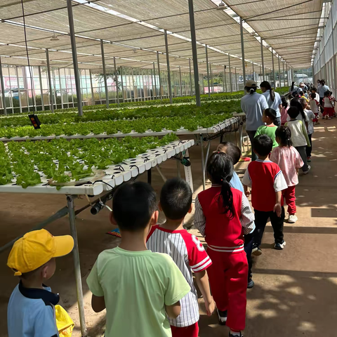 背上书包🎒一起去秋游（昆明第七感•莓世界）——枫林盛景幼儿园大二班秋游记