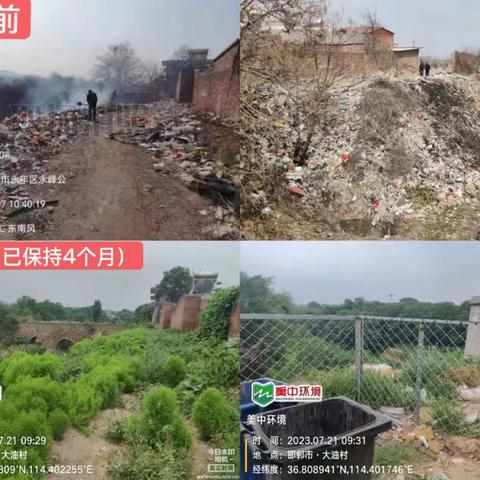 凝心聚力换新颜｜环卫品质再提升