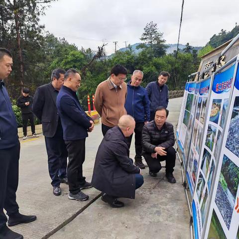 市人大调研组到建设镇调研河道环境治理情况