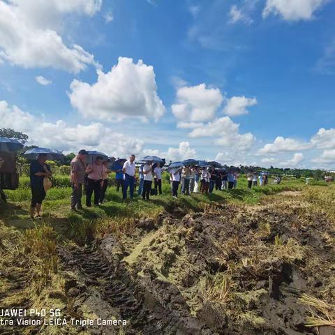 海口市举办2025年秸秆机械化还田作业现场观摩培训会