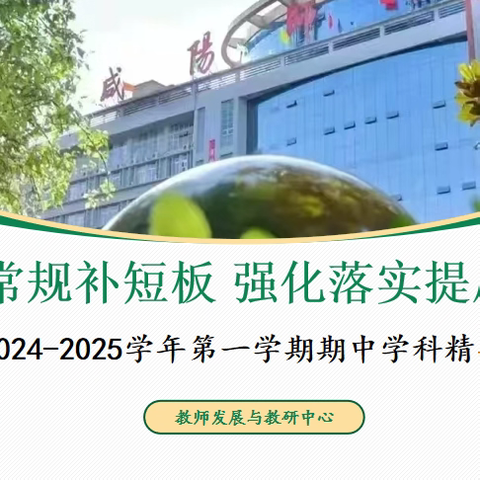 双轨并行策略下的教学创新与质量提升 师院附中期中学科精品课总结