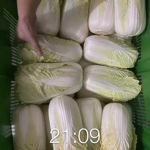 龙牧5.30惠州生鲜配送情况