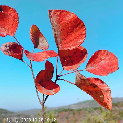 【吉利户外】自驾焦作红叶天路一日游平安归来！（副本）