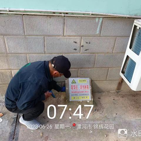 源汇区病媒防制周报