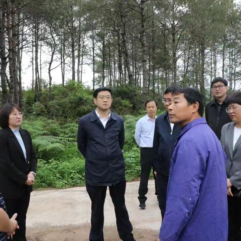 宁化县委书记王胜文调研生态环境 保护工作