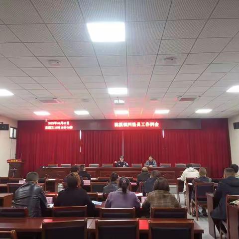 桃溪镇组织网格员开展各领域安全大排查大整治行动|举一反三抓安全  全员宣传重实效