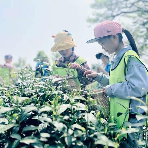 绘彩艺术学校春季户外研学写生报名啦！