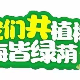 “相约春天，共植希望”油田一小304班社会实践活动